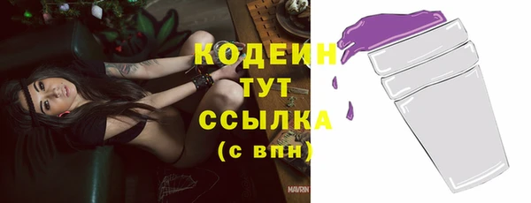 apvp Горняк