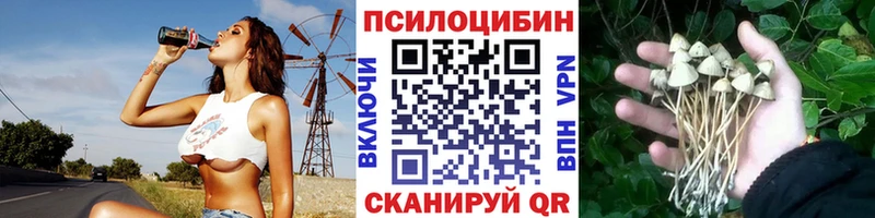 Псилоцибиновые грибы Psilocybine cubensis  дарнет шоп  Меленки 